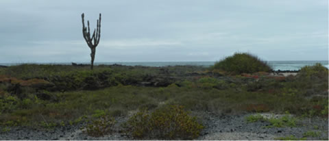 Land on the galapagos island